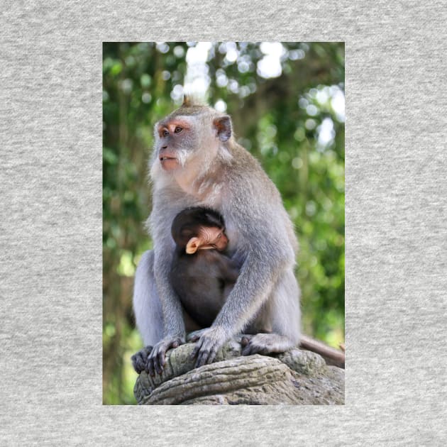 a monkey and baby sitting on a branch in ubud in bali by Geoff79